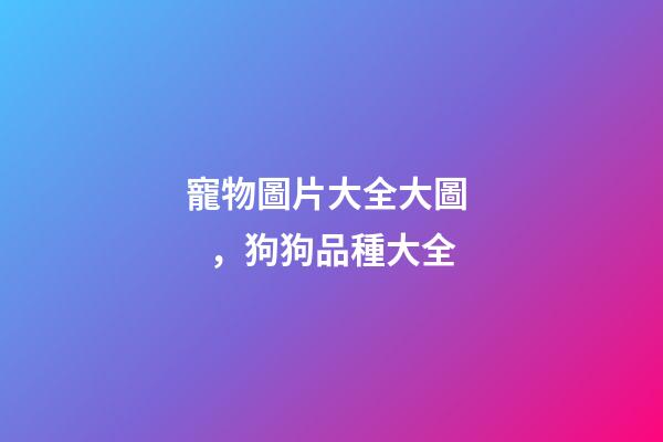 寵物圖片大全大圖，狗狗品種大全(帶圖片)-第1張-觀點-玄機派